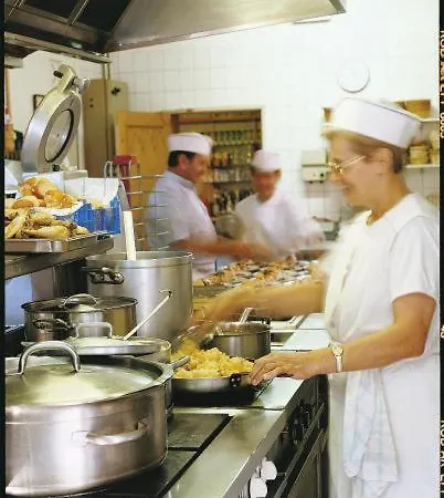 L'hotel Des Bords De L'ill Erstein