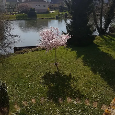 Отель L'hotel Des Bords De L'ill 2*