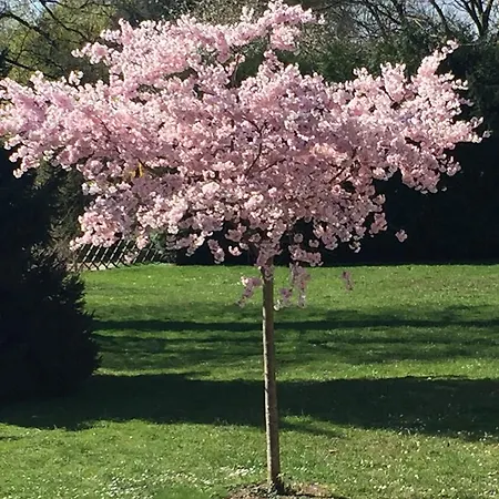 L'hotel Des Bords De L'ill