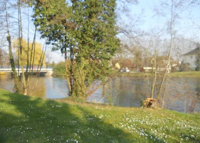 L'hotel Des Bords De L'ill 2* Erstein