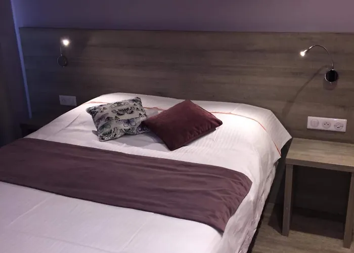 L'hotel Des Bords De L'ill Hotel Erstein