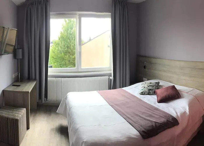 L'hotel Des Bords De L'ill Hotel