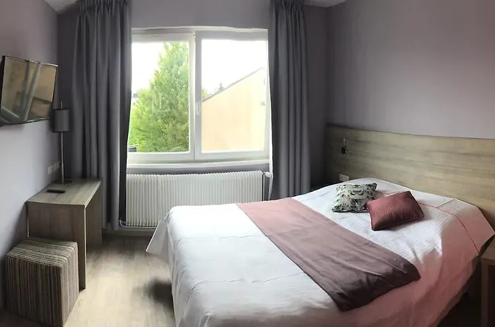 L'hotel Des Bords De L'ill Hotel Erstein