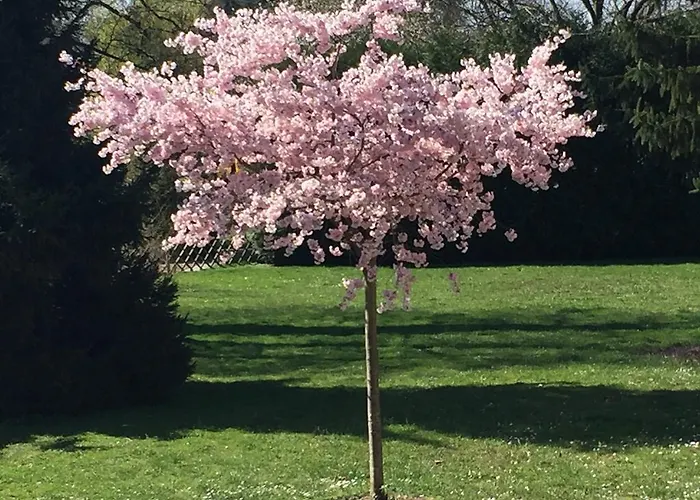 L'hotel Des Bords De L'ill